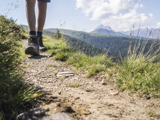 Leises Wandern...