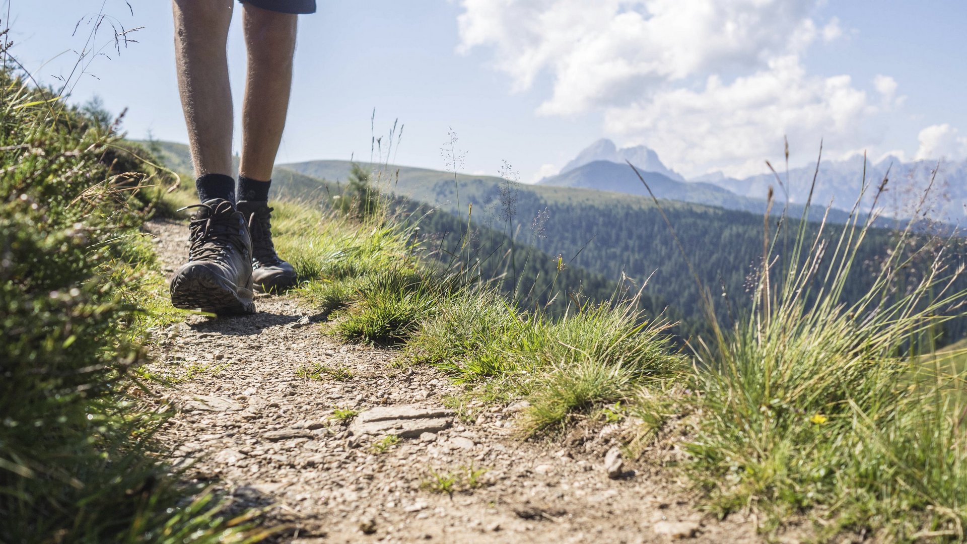 Leises Wandern...