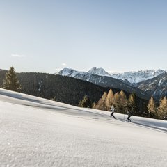 Stille...es spricht die Natur